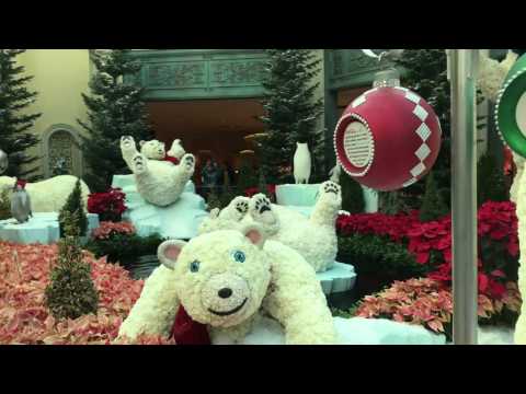 Bachelor Party; Vegas Style!