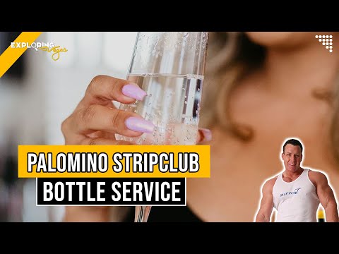 🎉 Palomino Strip Club Las Vegas w/Brian Pfeiffer