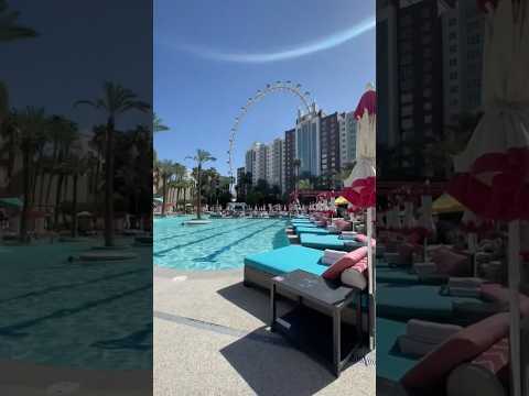 🦩🍹🌴Flamingo Hotel Pool and Grotto (Best Pools in Las Vegas) #shorts #lasvegas #flamingolasvegas