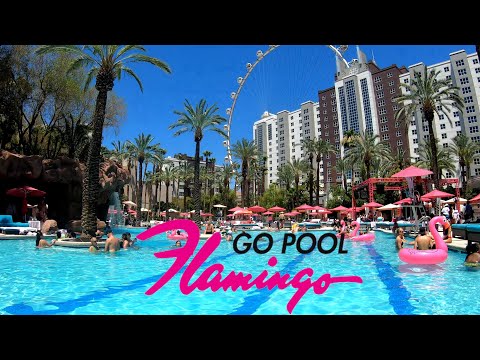 Flamingo GO Pool (21+) Walkthrough (2021)