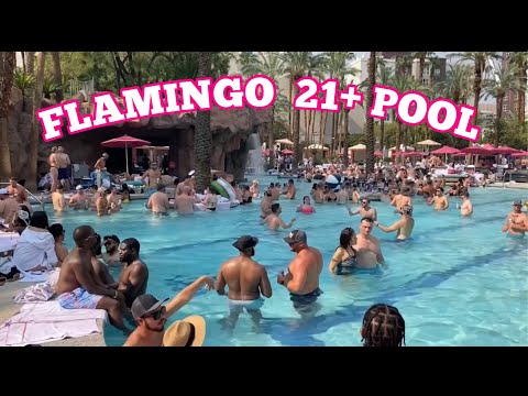 Flamingo Hotel Adult Only Pool | Saturday Pool Vibe at GO Pool