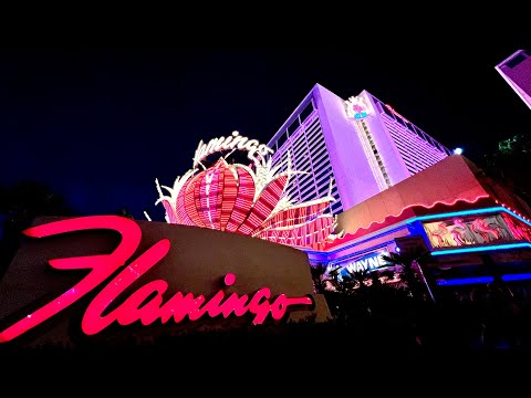 Flamingo Las Vegas is Scary Old & So Cheap – BUT SUPER FUN!