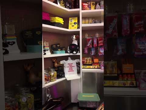 Las Vegas 90's LA Themed Speakeasy #shorts #BestFriend #vegas