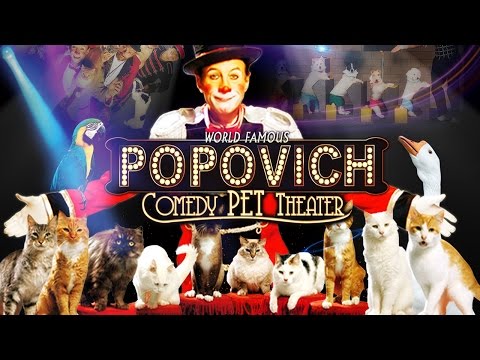 Las Vegas family show – Gregory Popovich Comedy Pet Theater