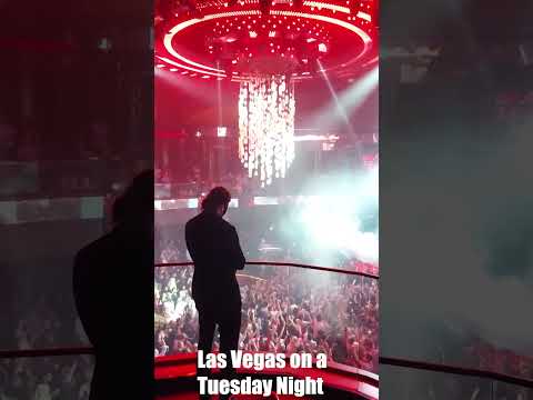 Las Vegas on a Tuesday Night 🤯 – Omnia Nightclub chandelier #shorts