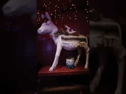 Las Vegas Strip Hidden Gem & Speakeasy – Tequila bar!