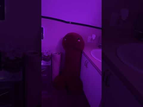 My room at Sagebrush Ranch a Legal Brothel in Nevada!