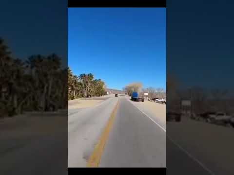 My time at Fran's Star Ranch Brothel.Owner  Fran York #brothels #Nevada #storytime#ladiesofnite