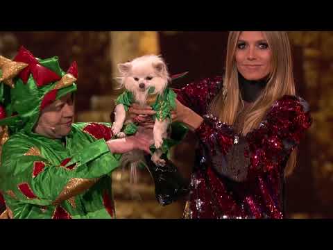 Piff The Magic Dragon | Flamingo Las Vegas