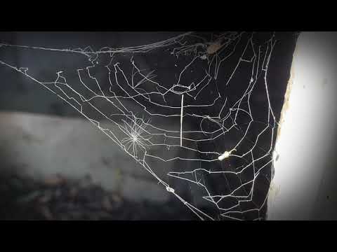 Sky ranch Nevada Haunted abandoned brothel