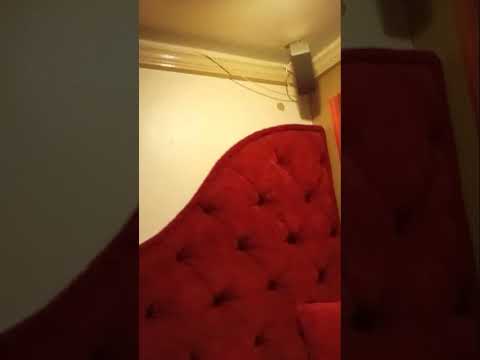 Tour the Love Ranch with me. #Nevada #Brothels #adultentertainment #dyanadyamonds #loveranch 💋