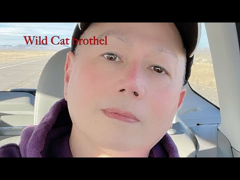 Wild Cat brothel – Mina, Nevada Jan. 2023