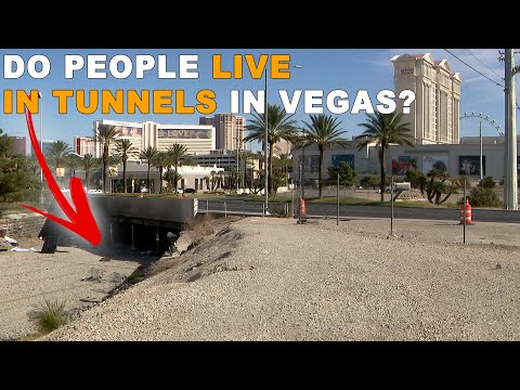 20 Vegas Secrets They Don't Want You To Know 🎰