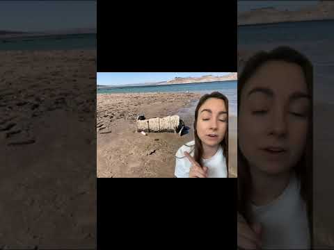 😱 Bodies Found, Lake Mead's Las Vegas Secrets Revealed     –  tiktok macabrehappenings