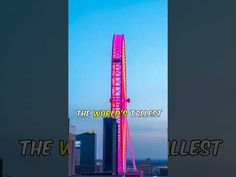 Las Vegas Night Tour Secrets Revealed by a Big Bus Rider!