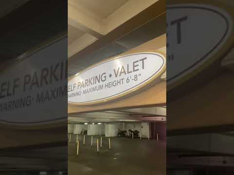 Secrets of a Las Vegas Local 👆 Best Casino Parking (Ep 2) The Venetian FREE FOR ALL